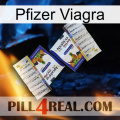 Pfizer Viagra 12